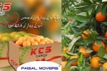 faisal movers cargo mango and oranges