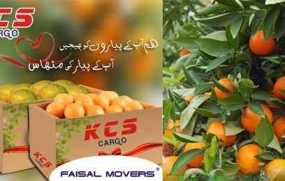 faisal movers cargo mango and oranges