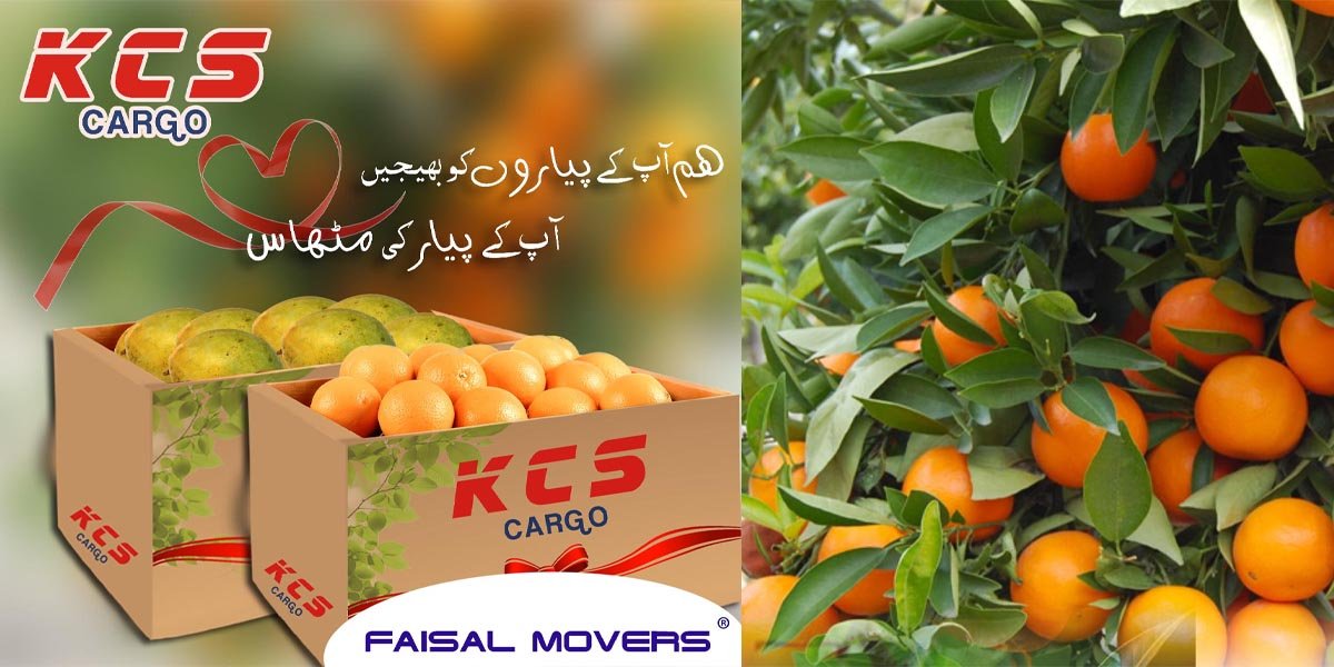 faisal movers cargo mango and oranges